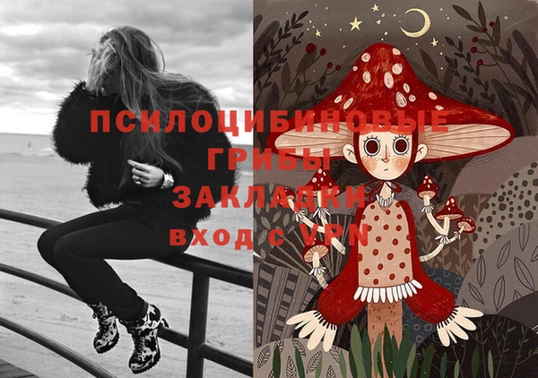 эйфоретик Алексин