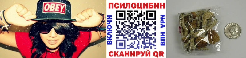 Псилоцибиновые грибы Cubensis  Купить  Видное 